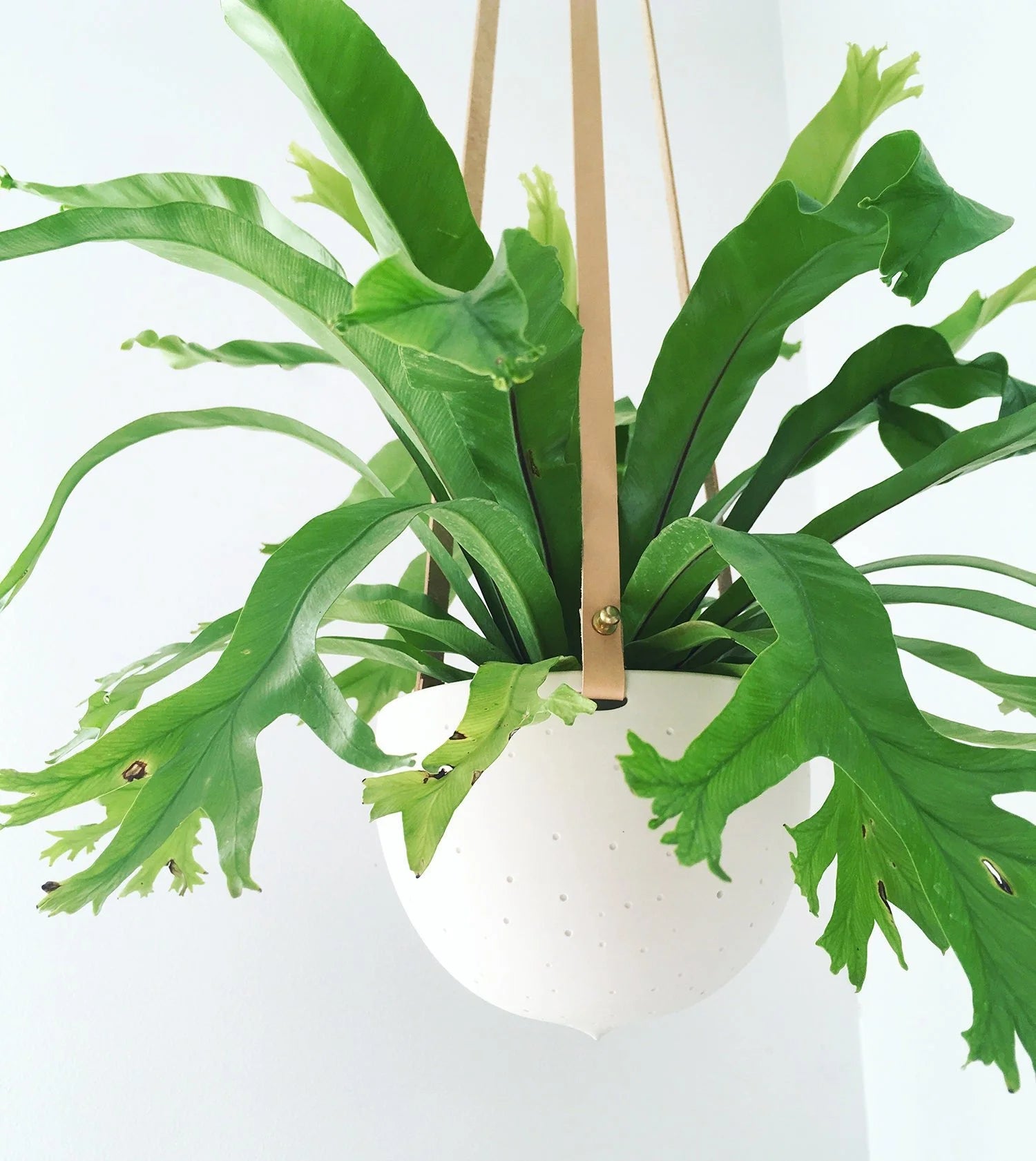 Imperfect Striped Hanging Planter