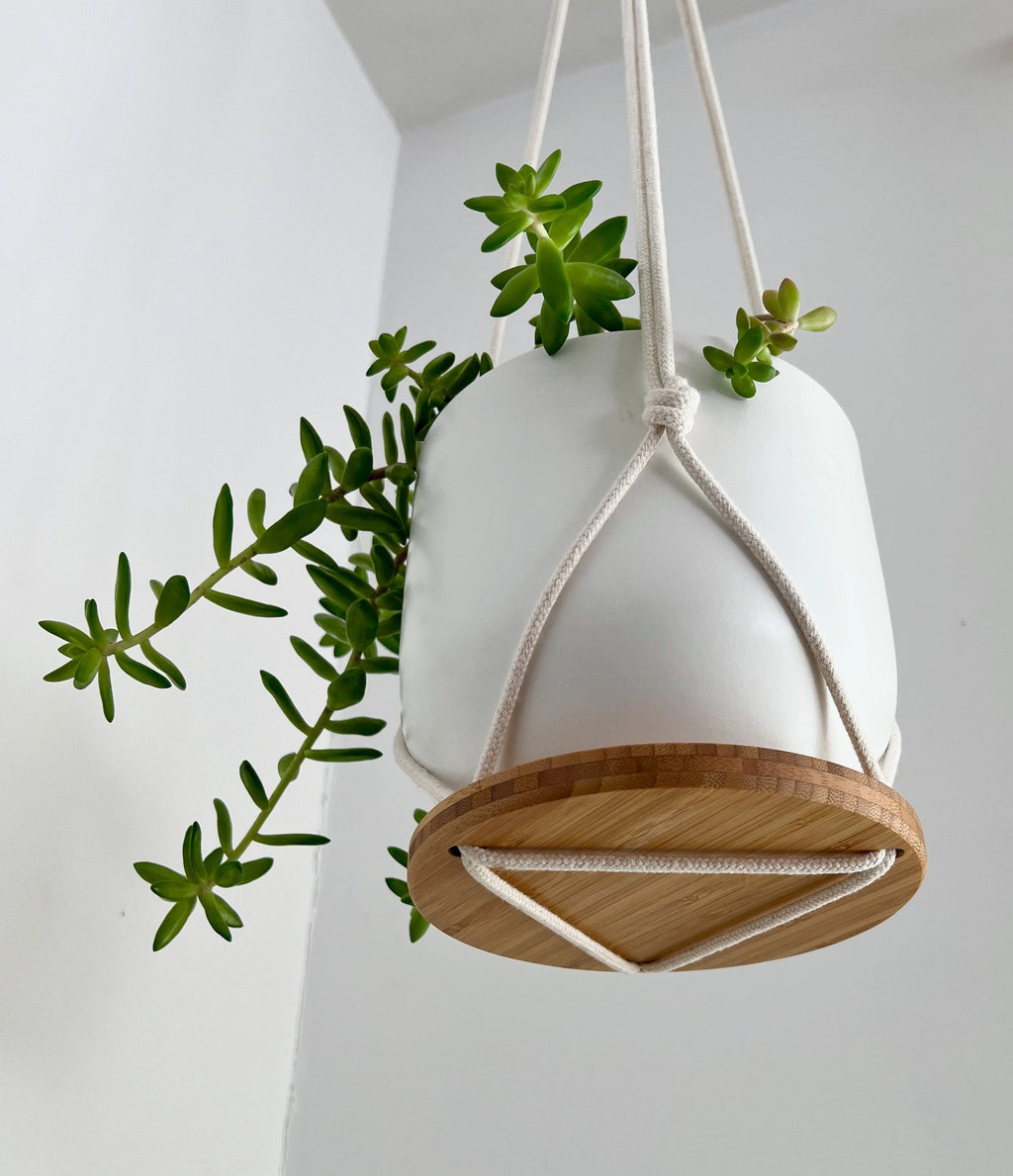 Hanging Plant Shelf