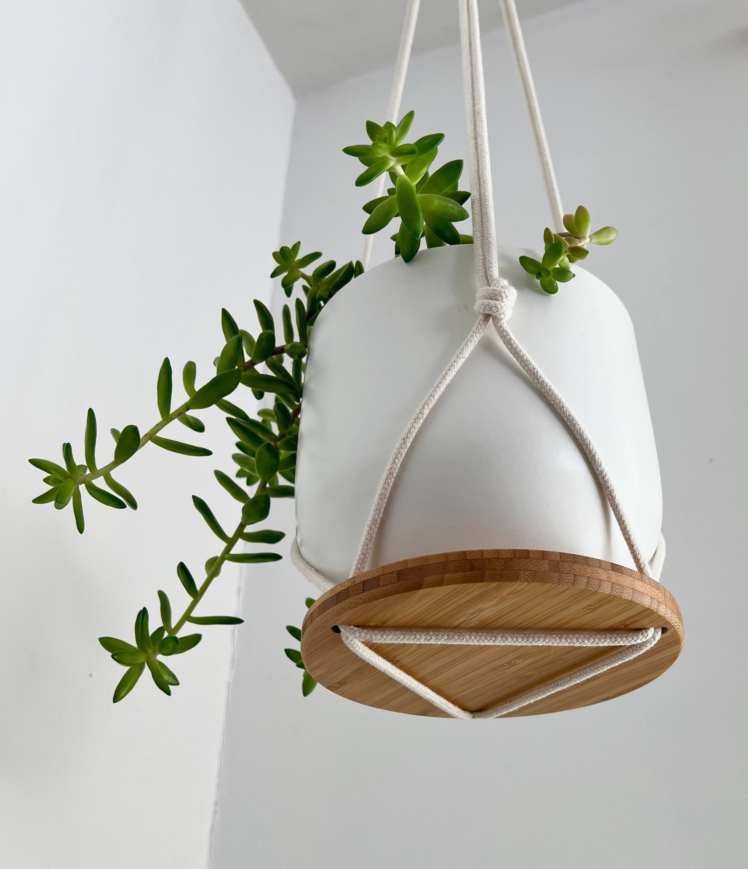 Hanging Plant Shelf