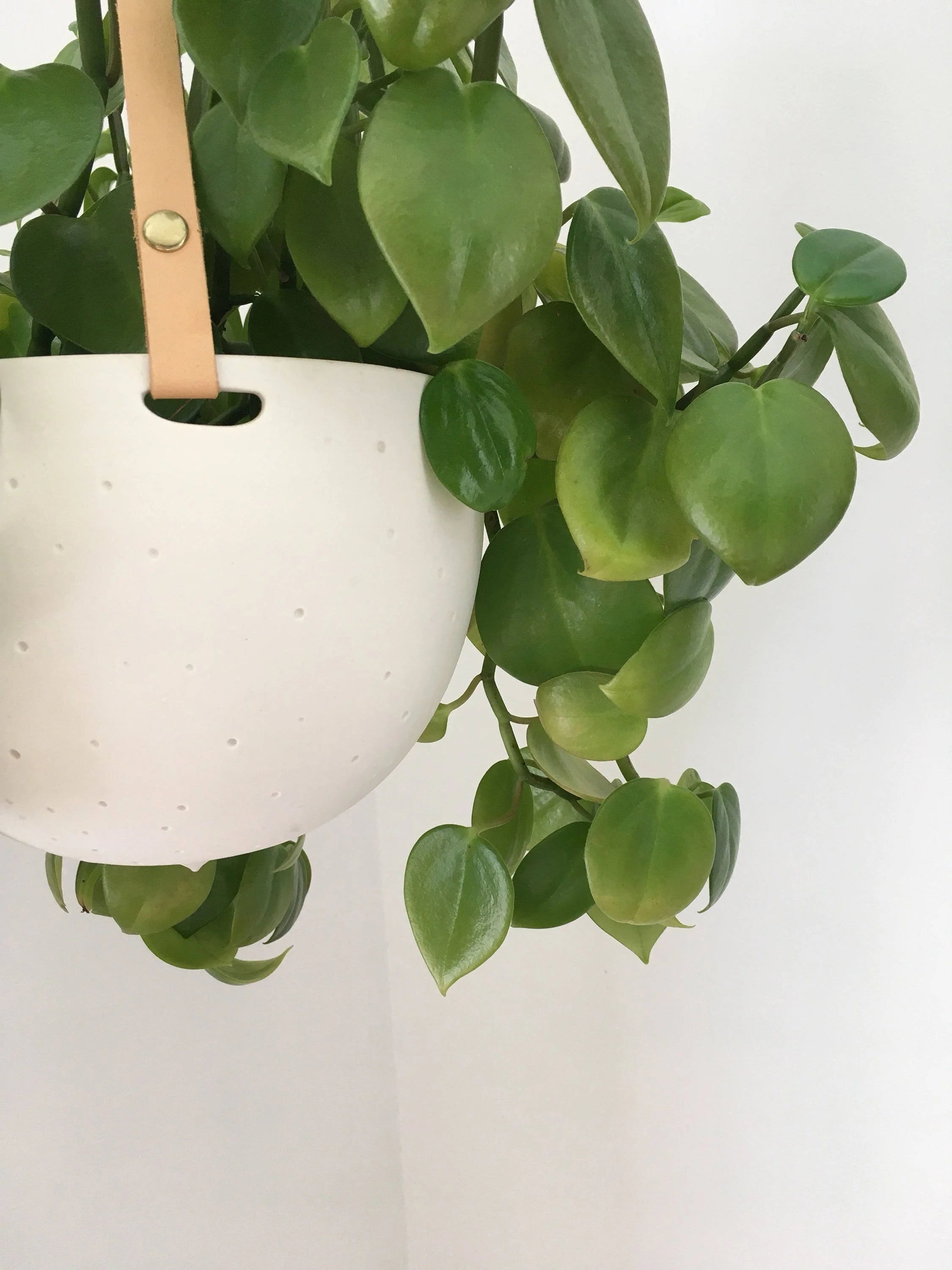 Imperfect Striped Hanging Planter