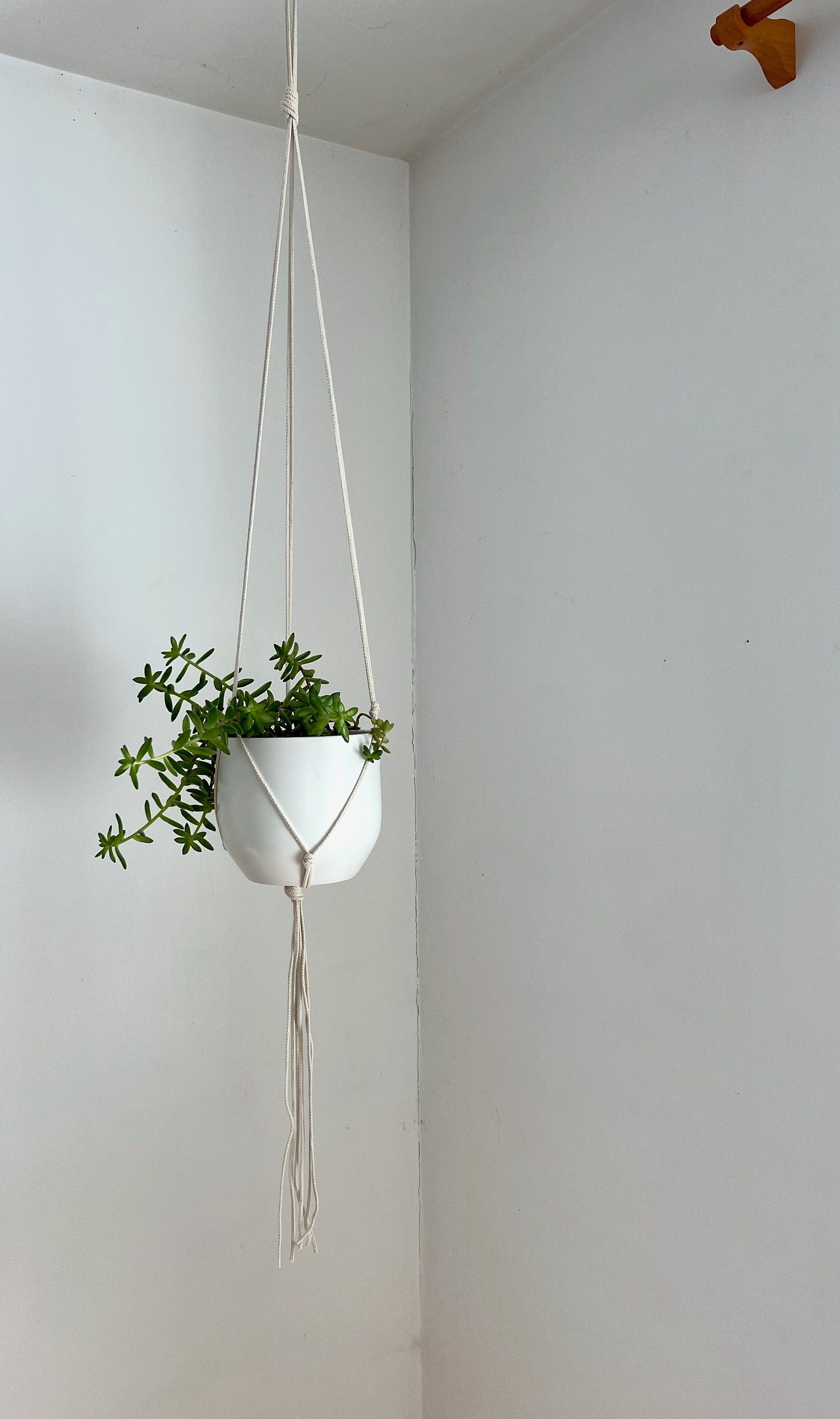 Medium Gauge Cotton Plant Hanger