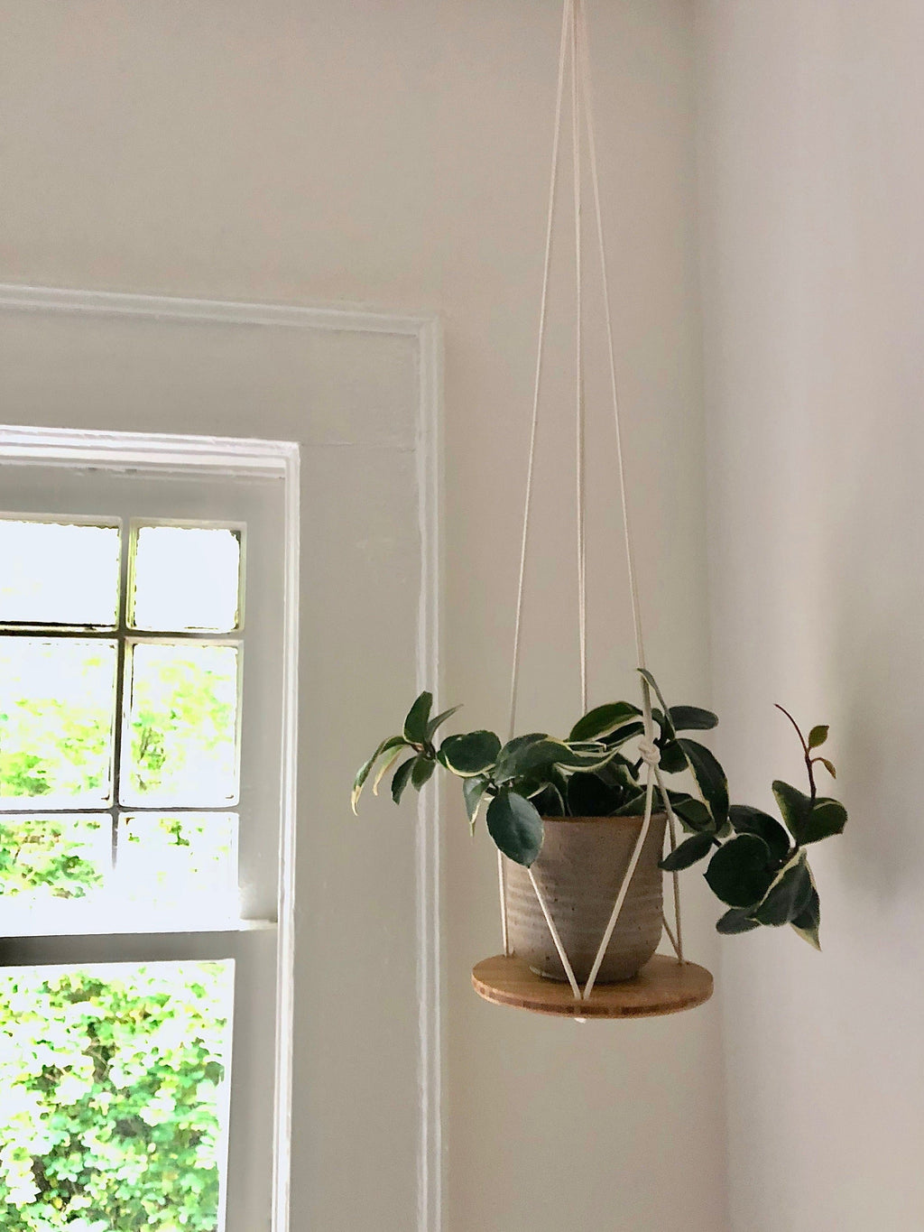 Hanging Plant Shelf