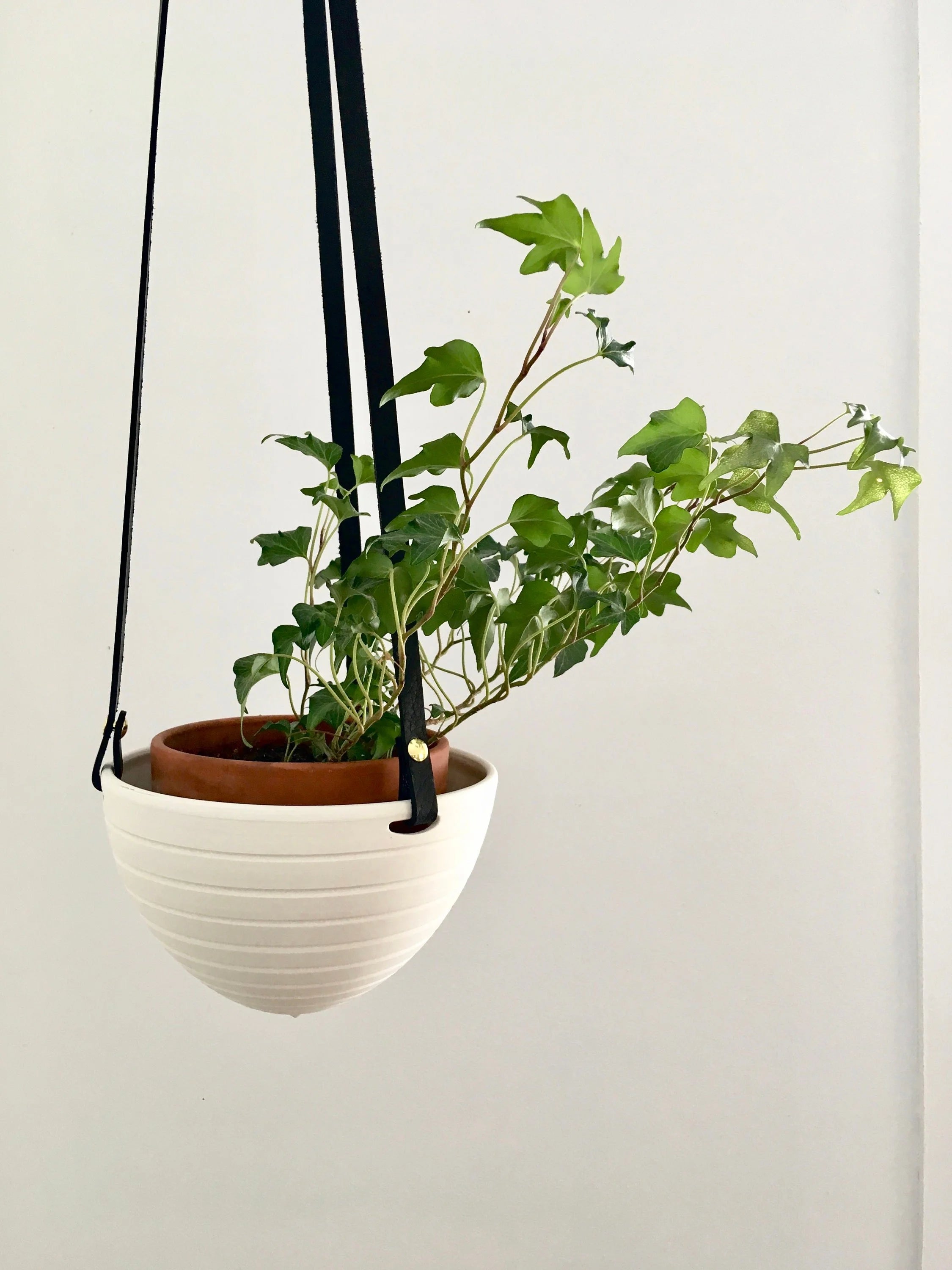 Dots or Stripes Hanging Planter