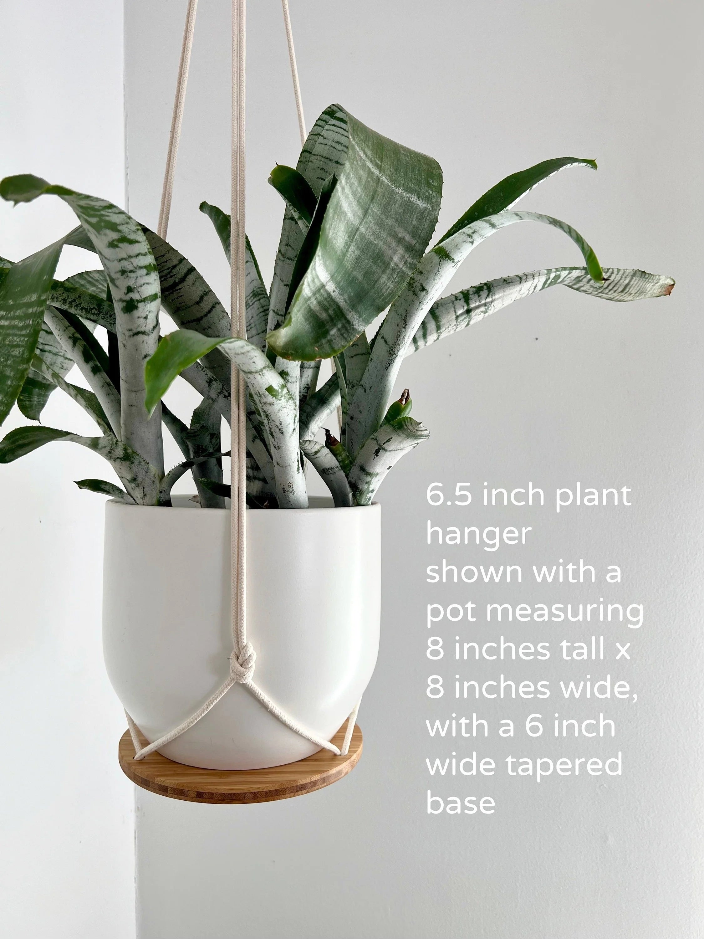 Hanging Plant Shelf