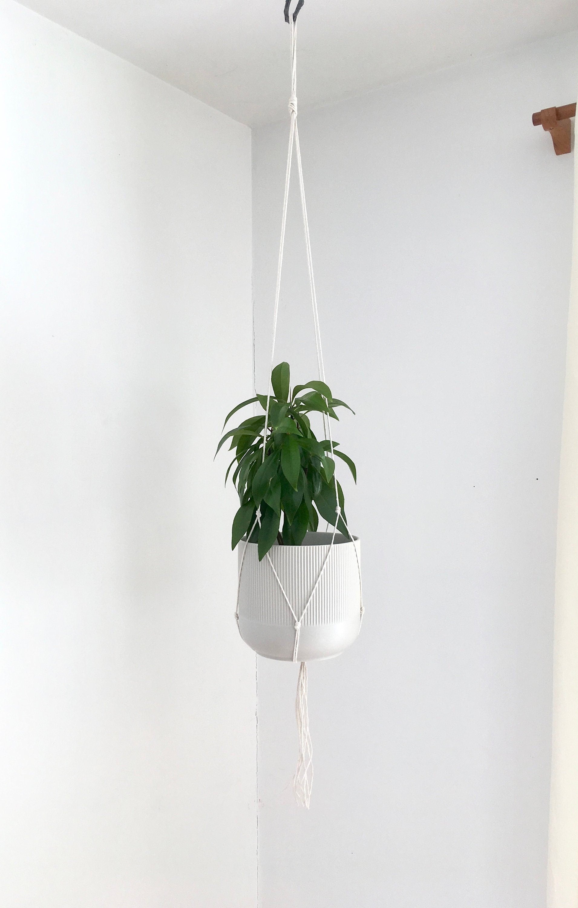 Small Gauge Cotton Plant Hanger