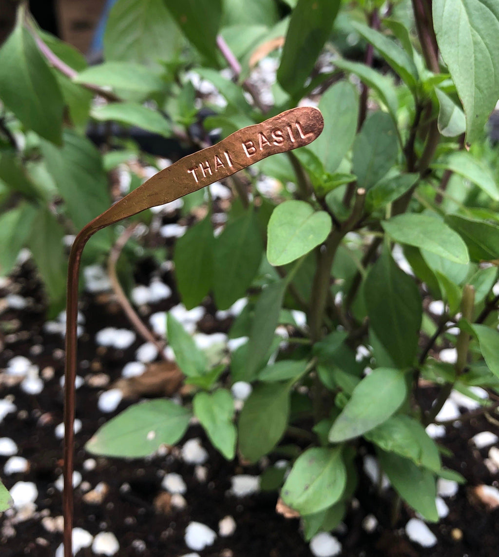 Plant Tags